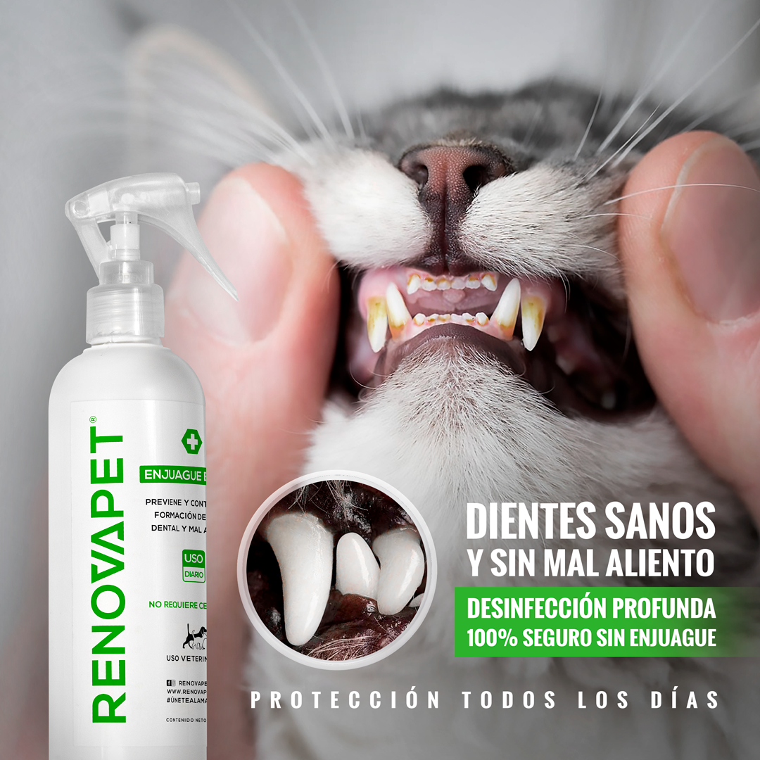 Renovapet Enjuague Bucal - Dientes Sanos y Aliento Fresco