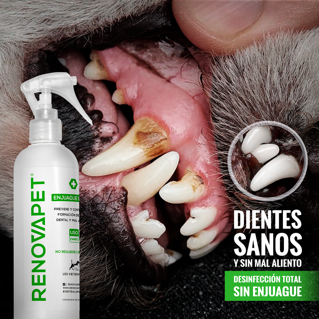 Renovapet Enjuague Bucal - Dientes Sanos y Aliento Fresco