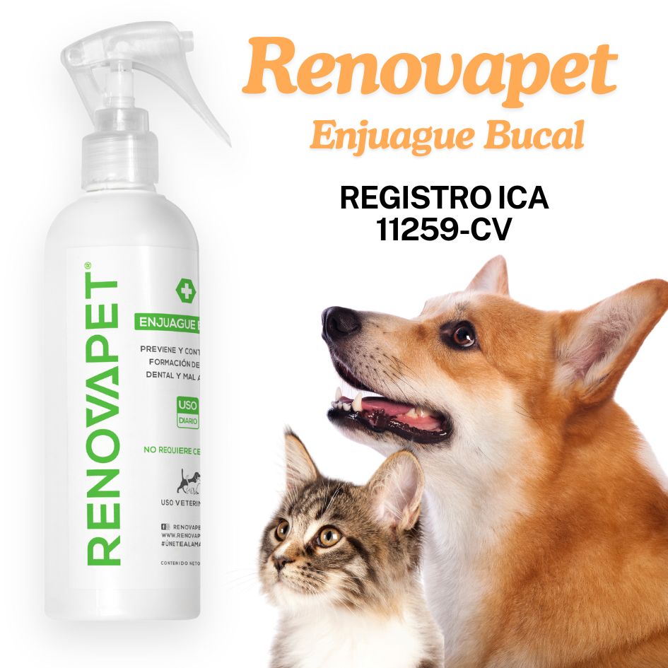 Renovapet Enjuague Bucal - Dientes Sanos y Aliento Fresco